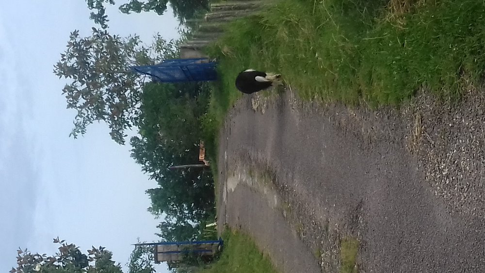Aire camping-car  Saint-Jean-de-Cle (24800) - Photo 6